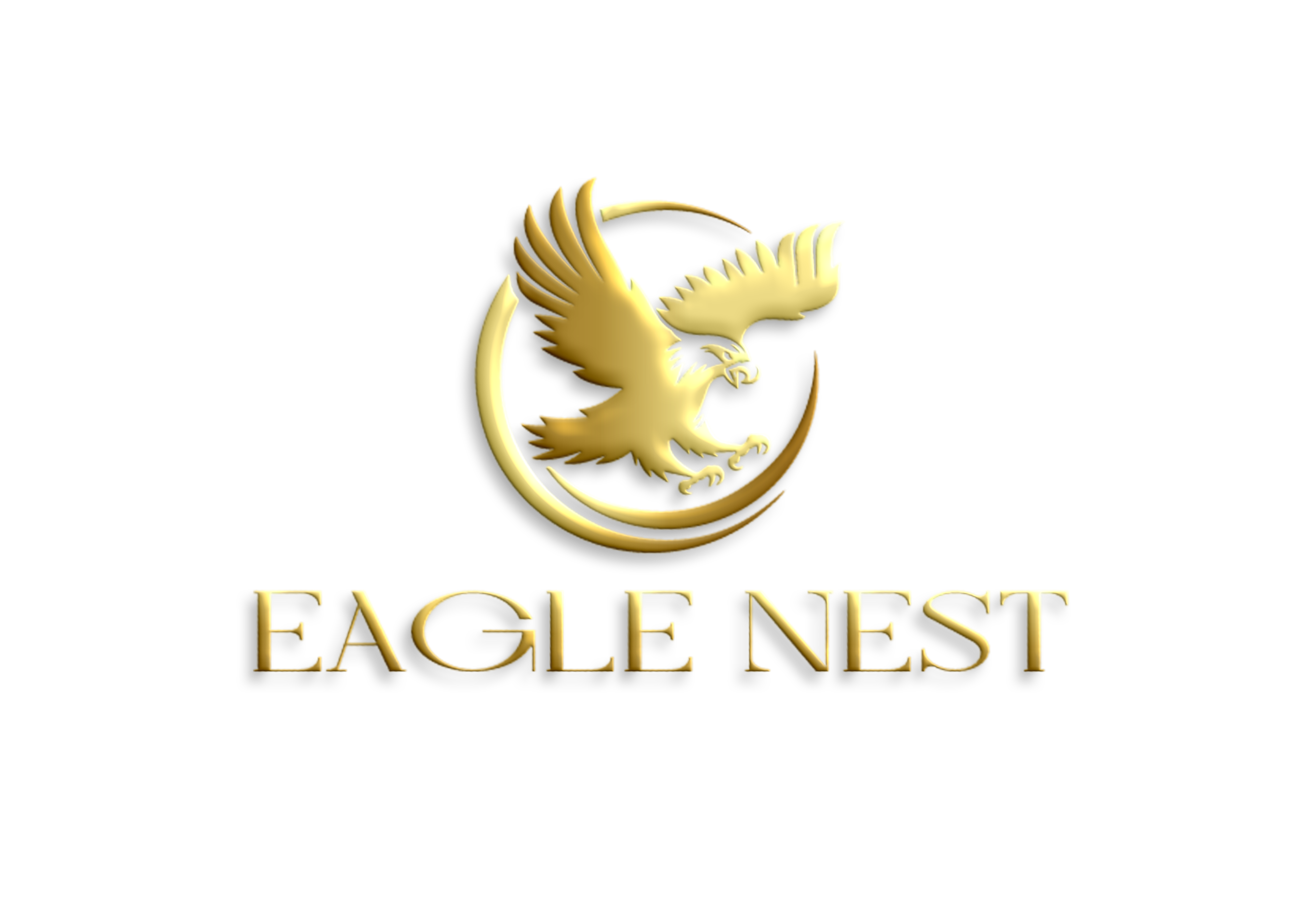 Login | Eagle Nest Family Office